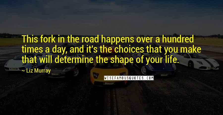 Liz Murray Quotes: This fork in the road happens over a hundred times a day, and it's the choices that you make that will determine the shape of your life.