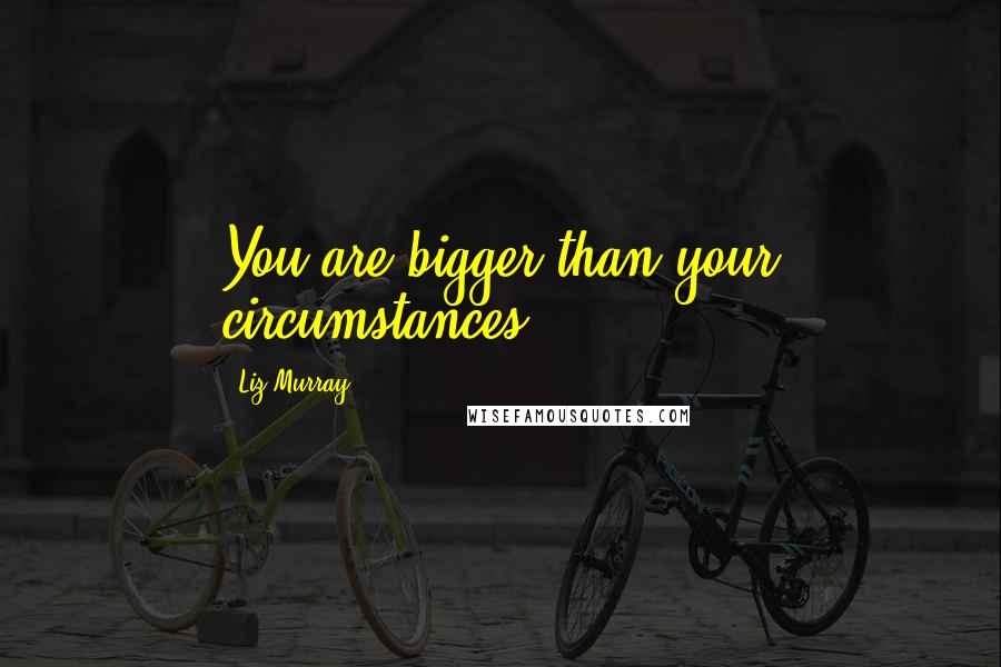 Liz Murray Quotes: You are bigger than your circumstances.