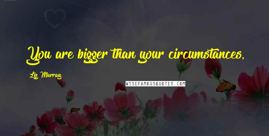 Liz Murray Quotes: You are bigger than your circumstances.