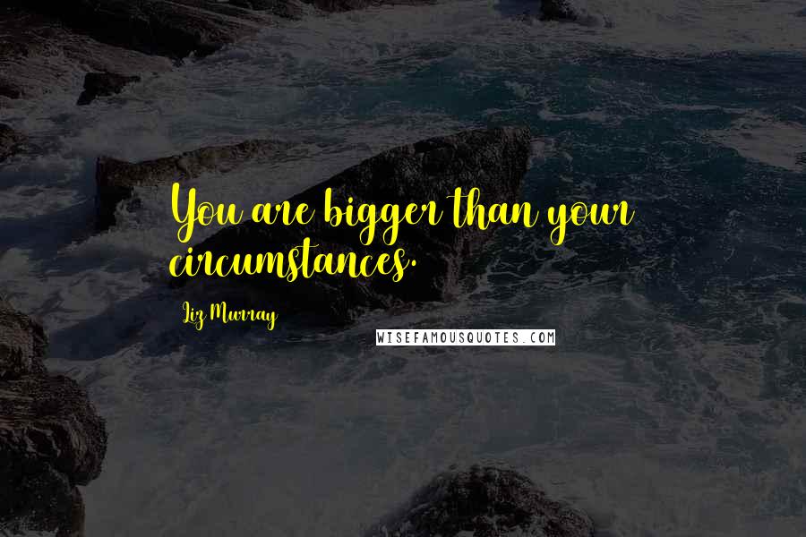 Liz Murray Quotes: You are bigger than your circumstances.