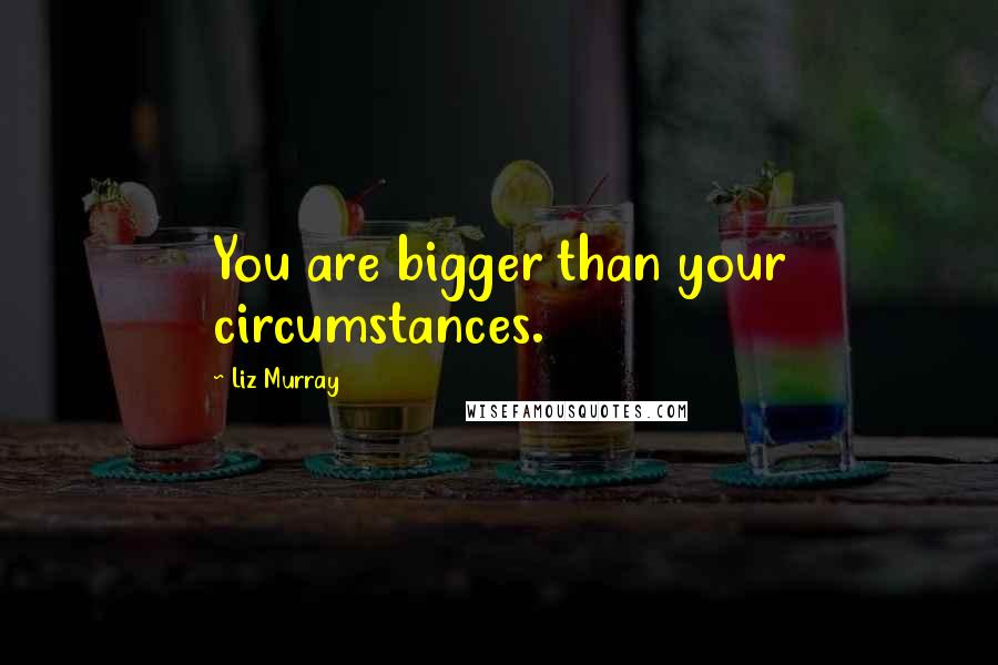 Liz Murray Quotes: You are bigger than your circumstances.