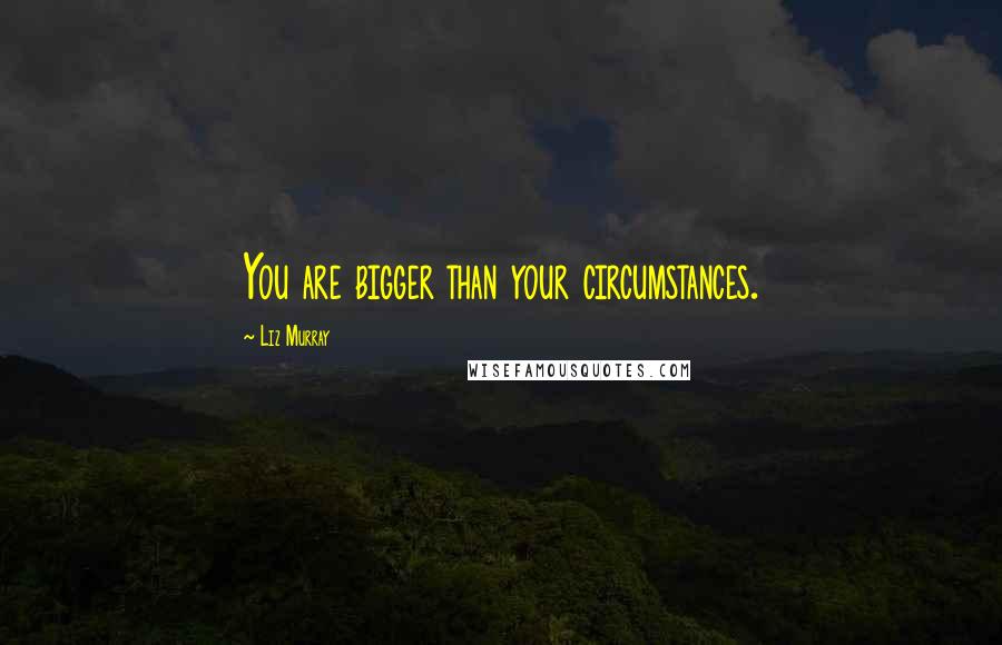 Liz Murray Quotes: You are bigger than your circumstances.