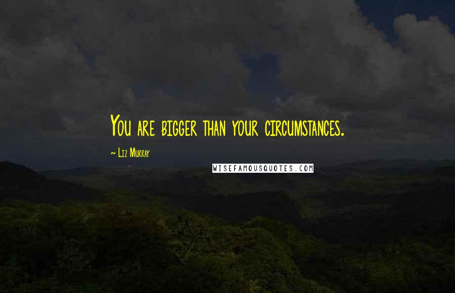 Liz Murray Quotes: You are bigger than your circumstances.