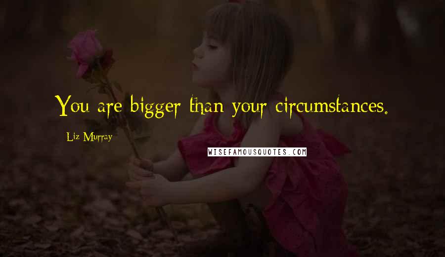 Liz Murray Quotes: You are bigger than your circumstances.