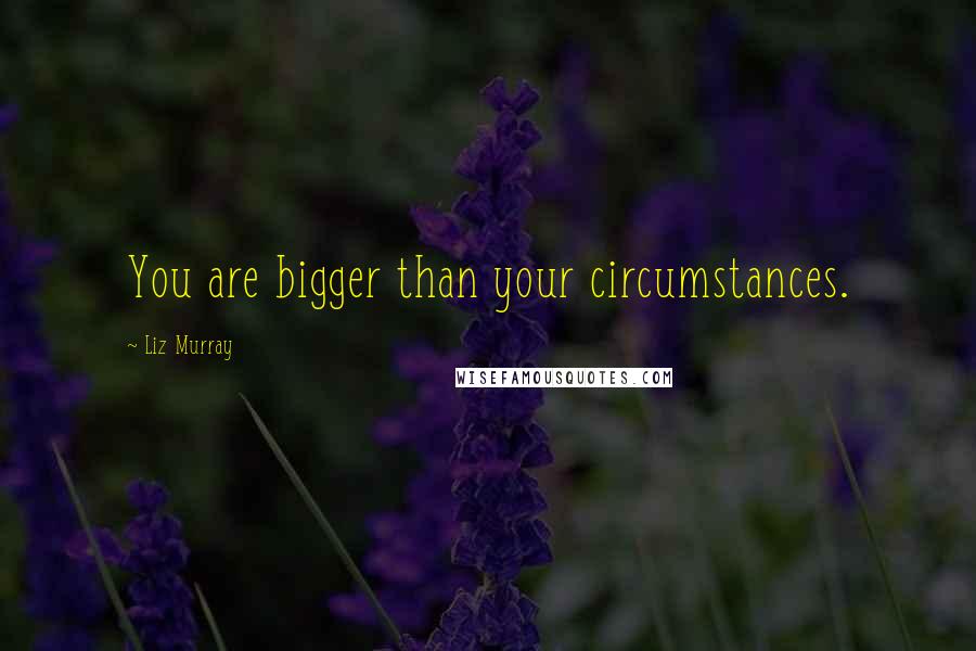 Liz Murray Quotes: You are bigger than your circumstances.