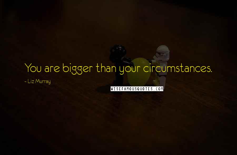 Liz Murray Quotes: You are bigger than your circumstances.