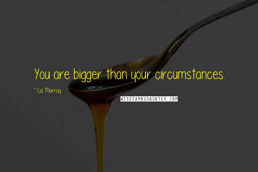Liz Murray Quotes: You are bigger than your circumstances.