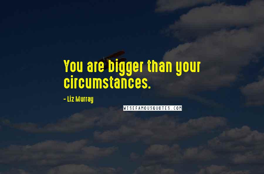 Liz Murray Quotes: You are bigger than your circumstances.