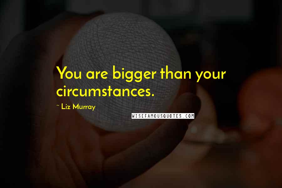 Liz Murray Quotes: You are bigger than your circumstances.