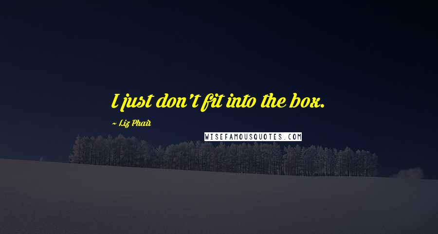 Liz Phair Quotes: I just don't fit into the box.