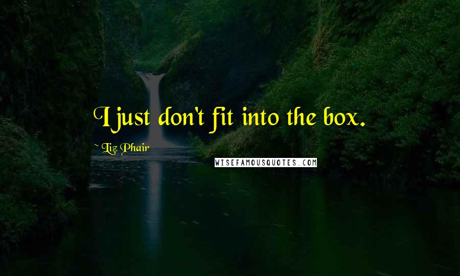 Liz Phair Quotes: I just don't fit into the box.