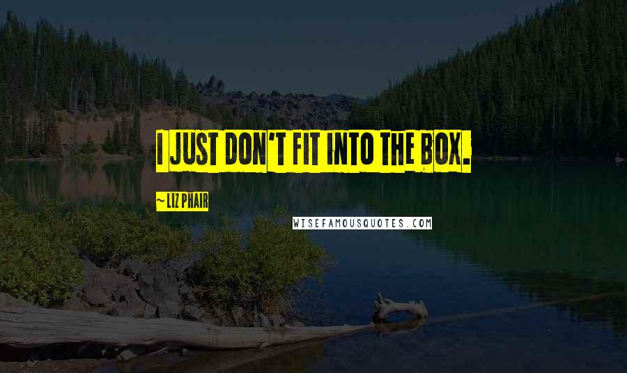 Liz Phair Quotes: I just don't fit into the box.