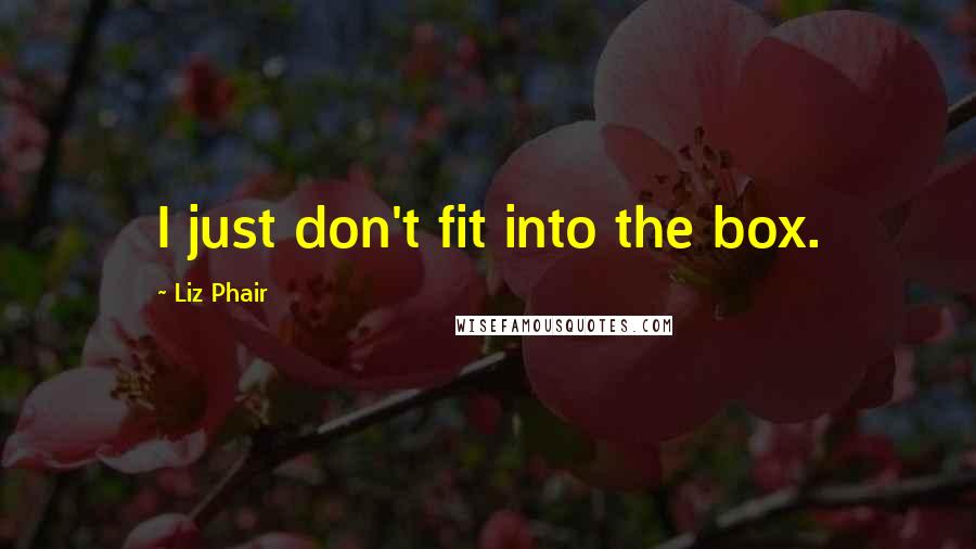 Liz Phair Quotes: I just don't fit into the box.