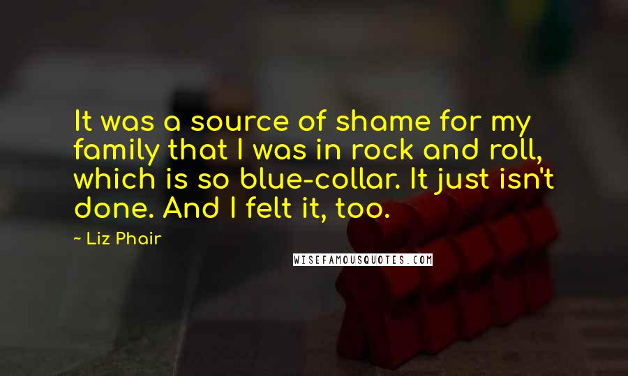 Liz Phair Quotes: It was a source of shame for my family that I was in rock and roll, which is so blue-collar. It just isn't done. And I felt it, too.