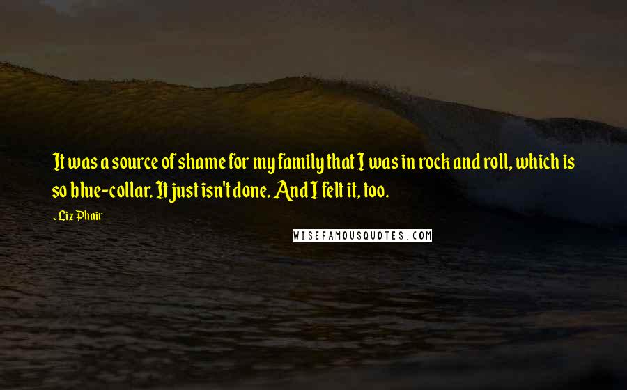 Liz Phair Quotes: It was a source of shame for my family that I was in rock and roll, which is so blue-collar. It just isn't done. And I felt it, too.