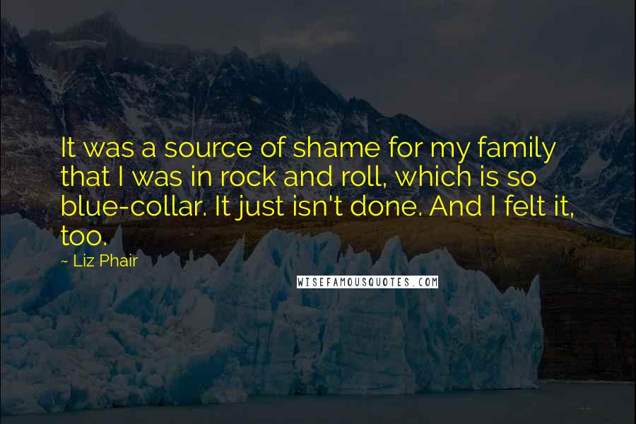 Liz Phair Quotes: It was a source of shame for my family that I was in rock and roll, which is so blue-collar. It just isn't done. And I felt it, too.