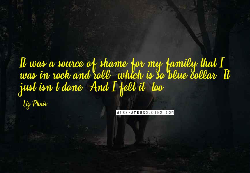 Liz Phair Quotes: It was a source of shame for my family that I was in rock and roll, which is so blue-collar. It just isn't done. And I felt it, too.