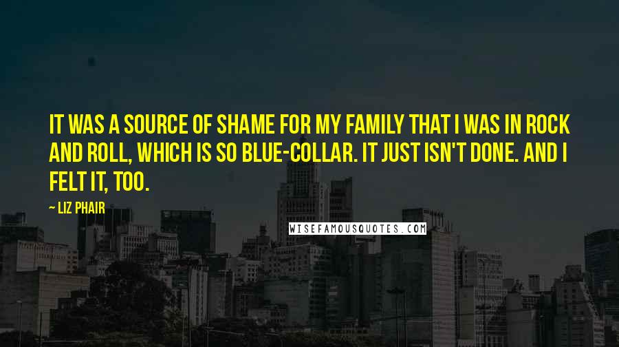 Liz Phair Quotes: It was a source of shame for my family that I was in rock and roll, which is so blue-collar. It just isn't done. And I felt it, too.