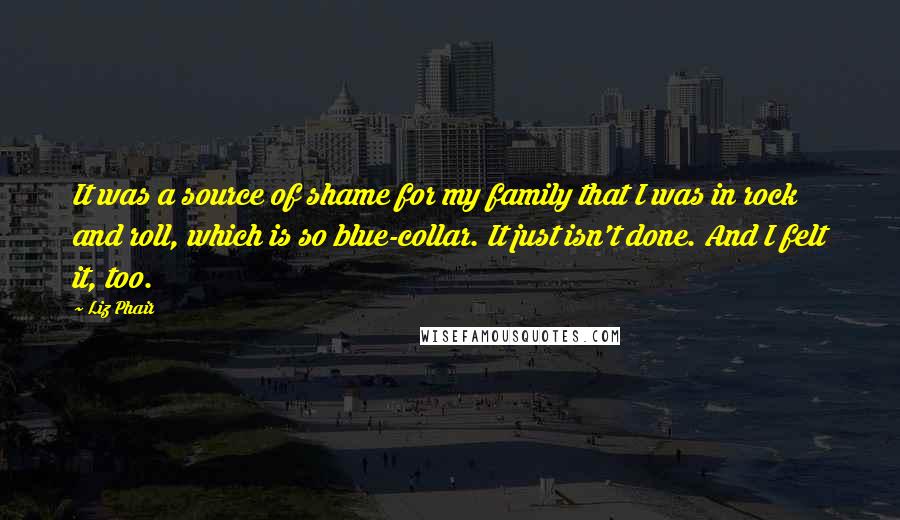 Liz Phair Quotes: It was a source of shame for my family that I was in rock and roll, which is so blue-collar. It just isn't done. And I felt it, too.