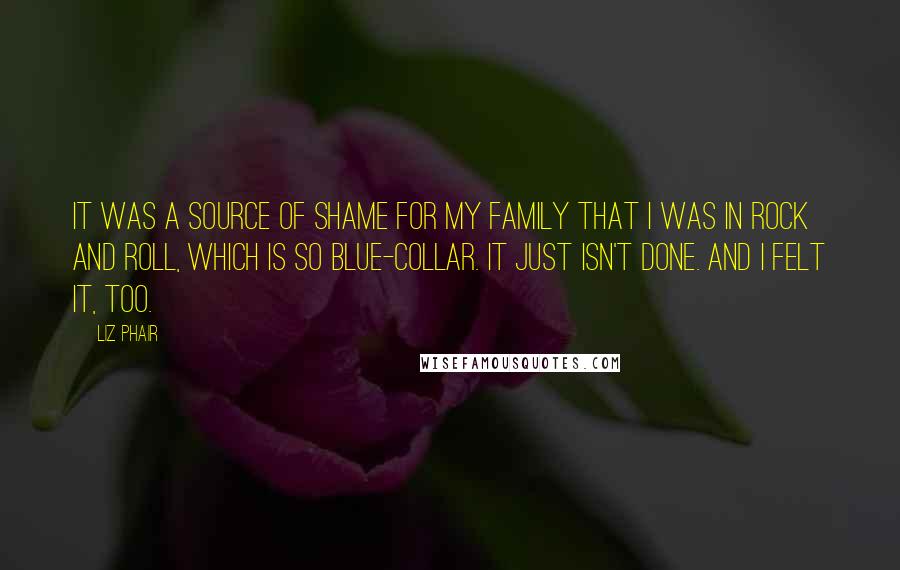 Liz Phair Quotes: It was a source of shame for my family that I was in rock and roll, which is so blue-collar. It just isn't done. And I felt it, too.