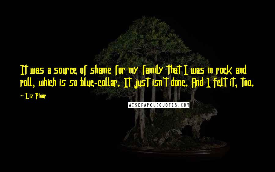 Liz Phair Quotes: It was a source of shame for my family that I was in rock and roll, which is so blue-collar. It just isn't done. And I felt it, too.