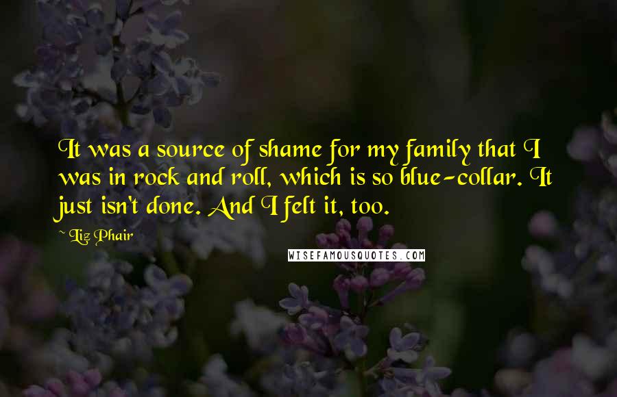 Liz Phair Quotes: It was a source of shame for my family that I was in rock and roll, which is so blue-collar. It just isn't done. And I felt it, too.