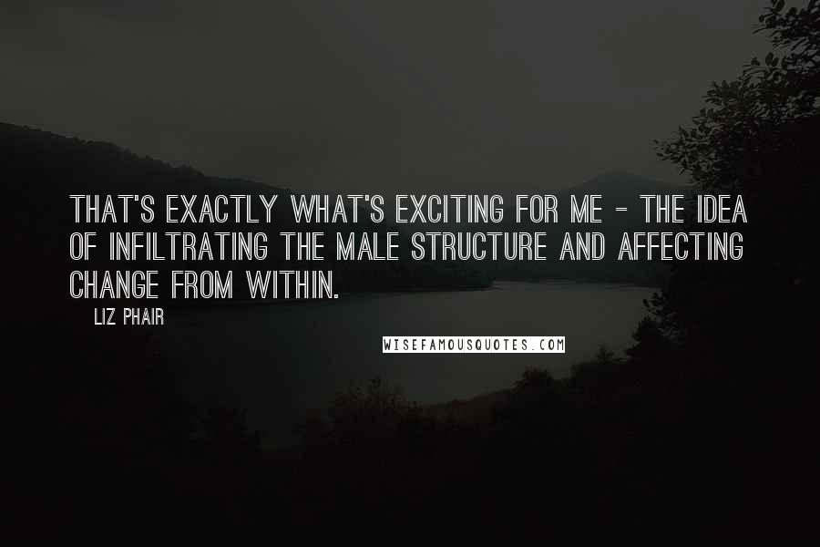 Liz Phair Quotes: That's exactly what's exciting for me - the idea of infiltrating the male structure and affecting change from within.