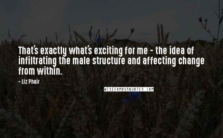 Liz Phair Quotes: That's exactly what's exciting for me - the idea of infiltrating the male structure and affecting change from within.