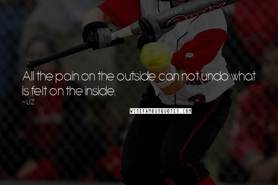 LIZ Quotes: All the pain on the outside can not undo what is felt on the inside.