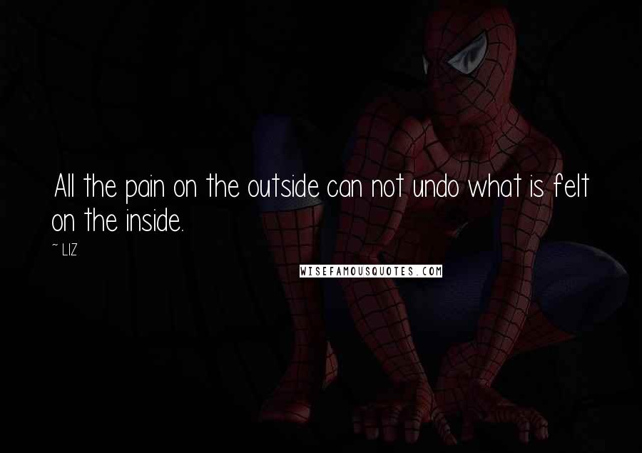 LIZ Quotes: All the pain on the outside can not undo what is felt on the inside.