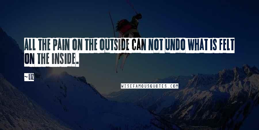 LIZ Quotes: All the pain on the outside can not undo what is felt on the inside.