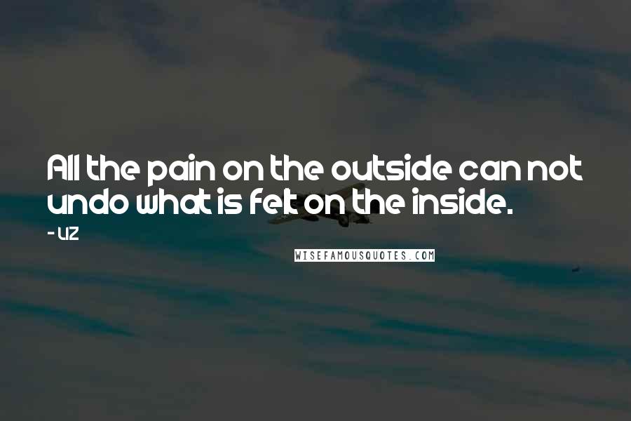 LIZ Quotes: All the pain on the outside can not undo what is felt on the inside.