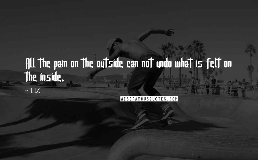 LIZ Quotes: All the pain on the outside can not undo what is felt on the inside.