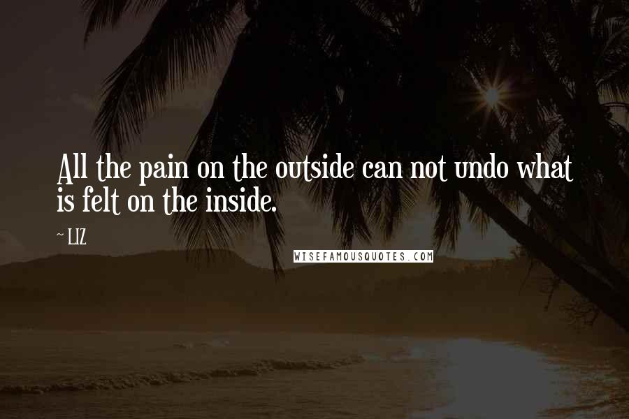 LIZ Quotes: All the pain on the outside can not undo what is felt on the inside.