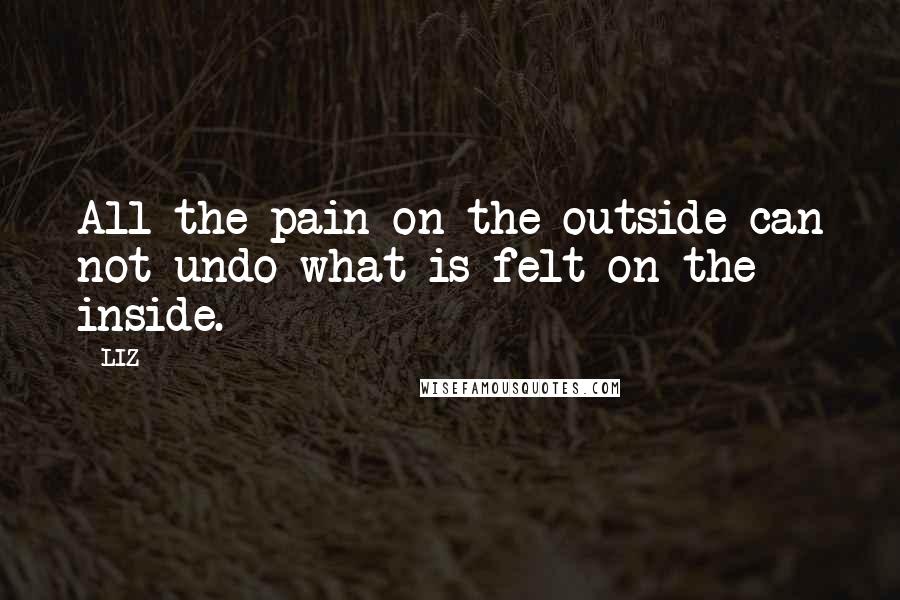 LIZ Quotes: All the pain on the outside can not undo what is felt on the inside.