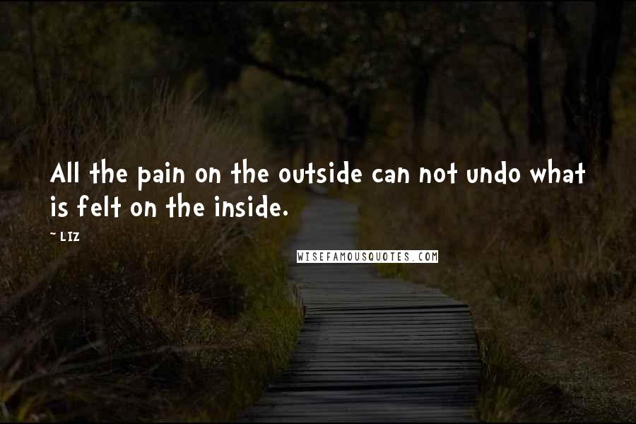 LIZ Quotes: All the pain on the outside can not undo what is felt on the inside.