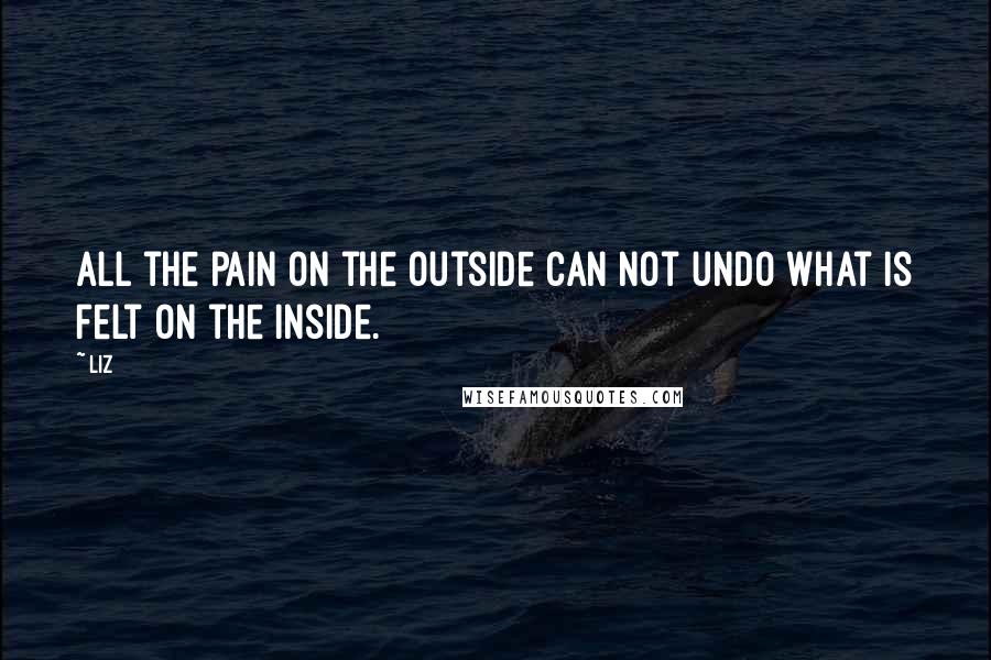 LIZ Quotes: All the pain on the outside can not undo what is felt on the inside.