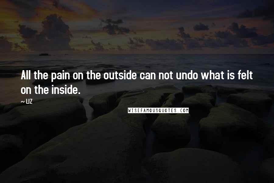 LIZ Quotes: All the pain on the outside can not undo what is felt on the inside.