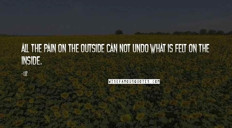 LIZ Quotes: All the pain on the outside can not undo what is felt on the inside.