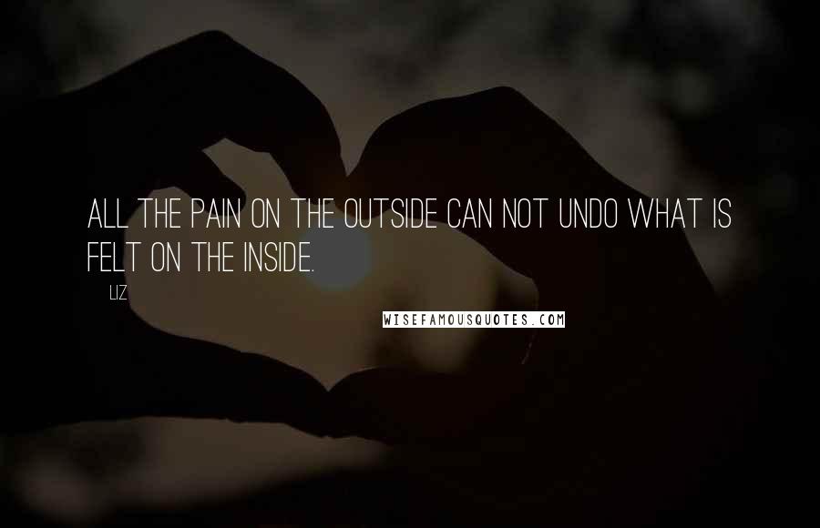 LIZ Quotes: All the pain on the outside can not undo what is felt on the inside.