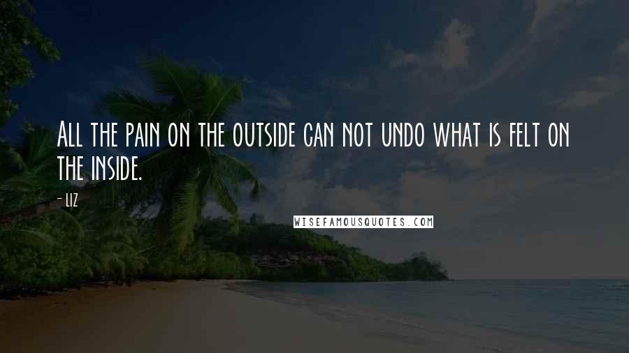 LIZ Quotes: All the pain on the outside can not undo what is felt on the inside.