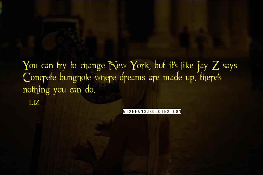 LIZ Quotes: You can try to change New York, but it's like Jay-Z says: Concrete bunghole where dreams are made up, there's nothing you can do.