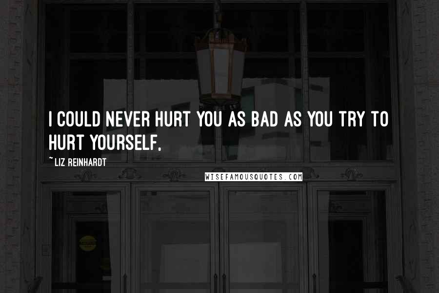 Liz Reinhardt Quotes: I could never hurt you as bad as you try to hurt yourself,