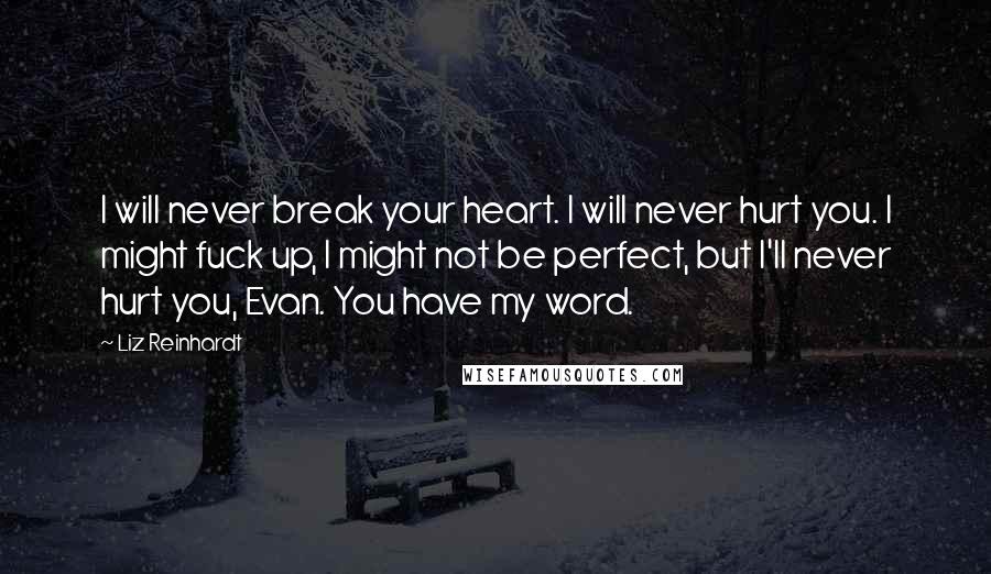 Liz Reinhardt Quotes: I will never break your heart. I will never hurt you. I might fuck up, I might not be perfect, but I'll never hurt you, Evan. You have my word.