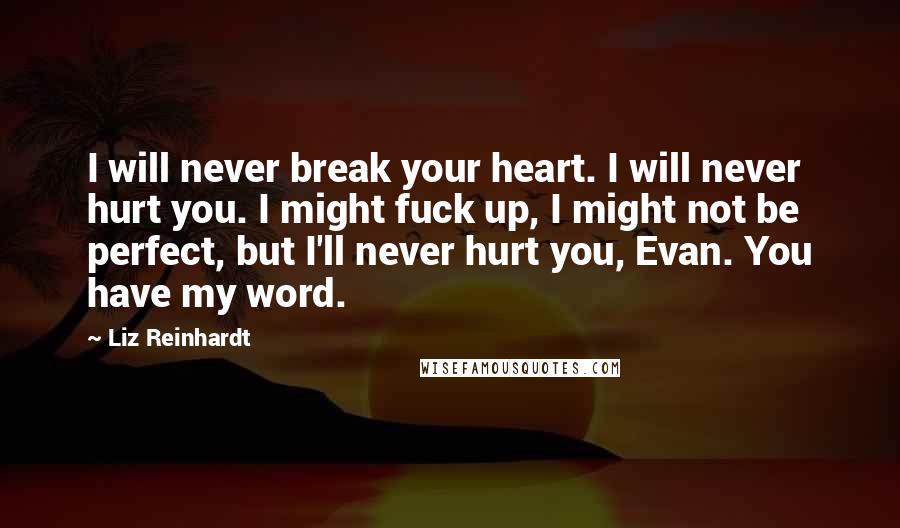 Liz Reinhardt Quotes: I will never break your heart. I will never hurt you. I might fuck up, I might not be perfect, but I'll never hurt you, Evan. You have my word.