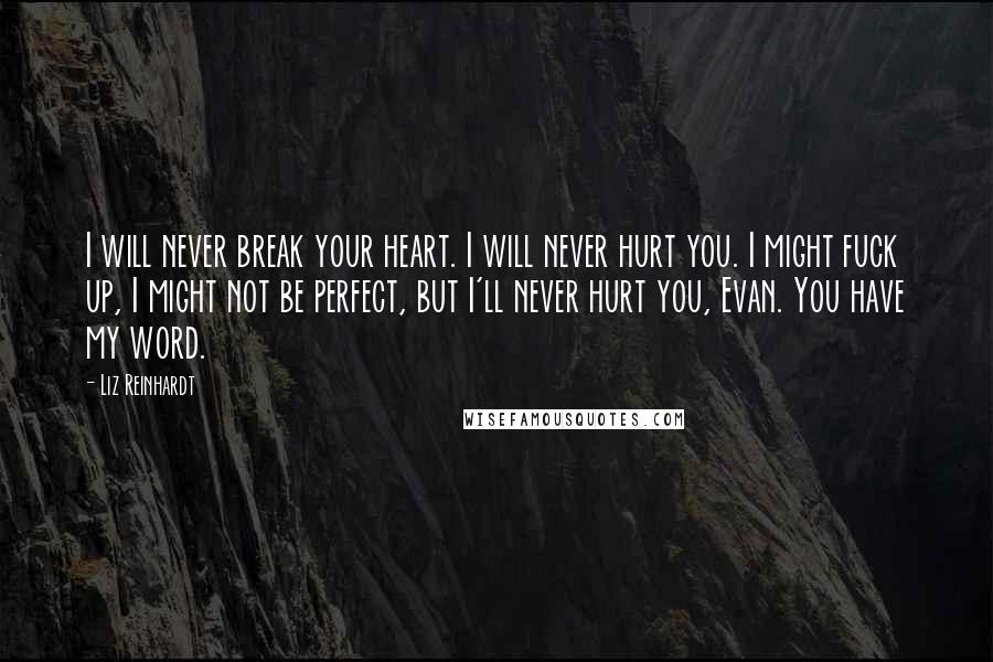 Liz Reinhardt Quotes: I will never break your heart. I will never hurt you. I might fuck up, I might not be perfect, but I'll never hurt you, Evan. You have my word.