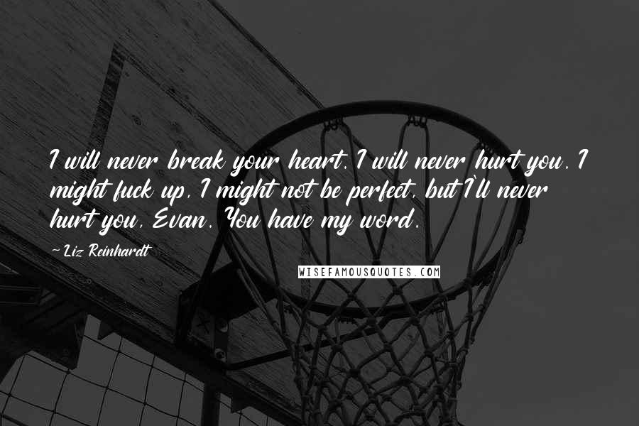 Liz Reinhardt Quotes: I will never break your heart. I will never hurt you. I might fuck up, I might not be perfect, but I'll never hurt you, Evan. You have my word.