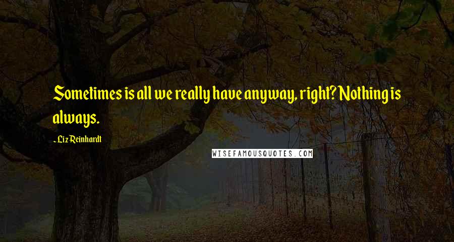 Liz Reinhardt Quotes: Sometimes is all we really have anyway, right? Nothing is always.