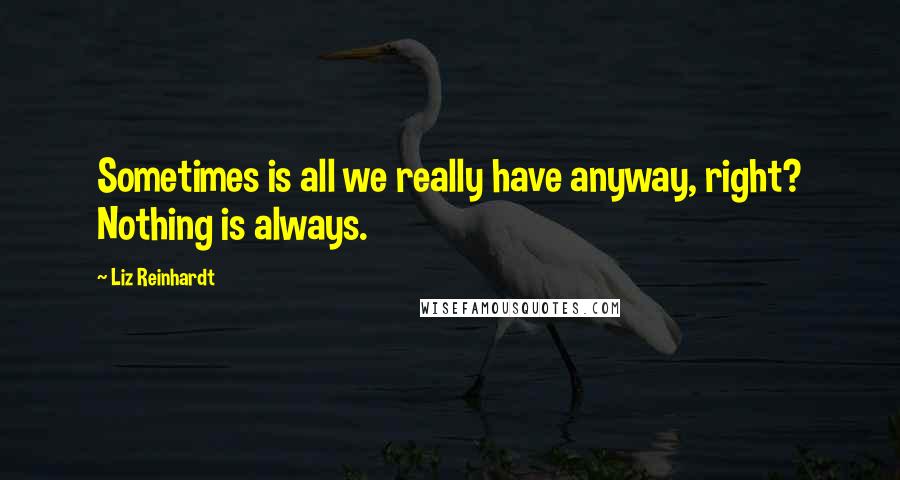 Liz Reinhardt Quotes: Sometimes is all we really have anyway, right? Nothing is always.