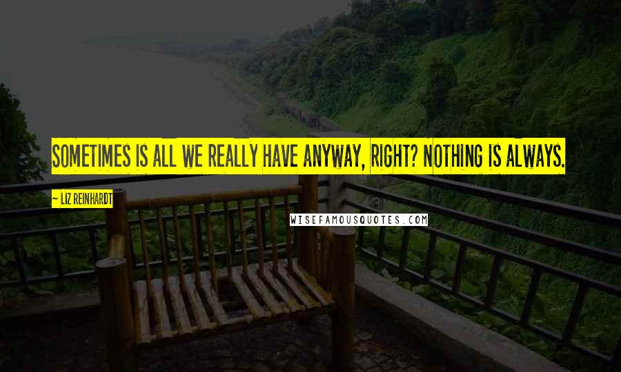 Liz Reinhardt Quotes: Sometimes is all we really have anyway, right? Nothing is always.